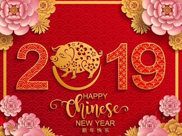 金豬送喜辭舊歲，雙志陪您慶新春！